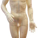 ACC and Acupuncture