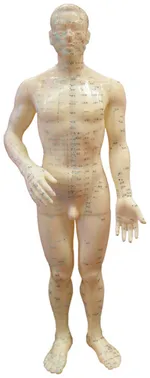 ACC and Acupuncture