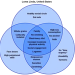 Are blue zones bogus?