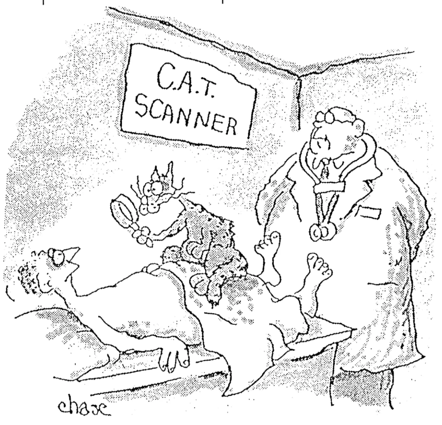 Hokum Locum