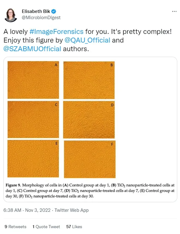 The incredible eyes of Elisabeth Bik: How pattern-matching exposes scientific fraud