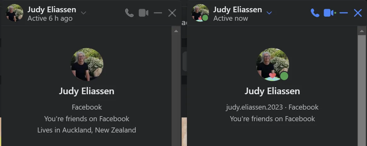 Would the real Judy Eliassen please stand up