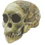 Teaching Evolution to the Alienated