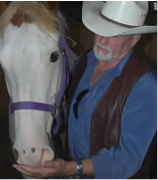Equine Touch