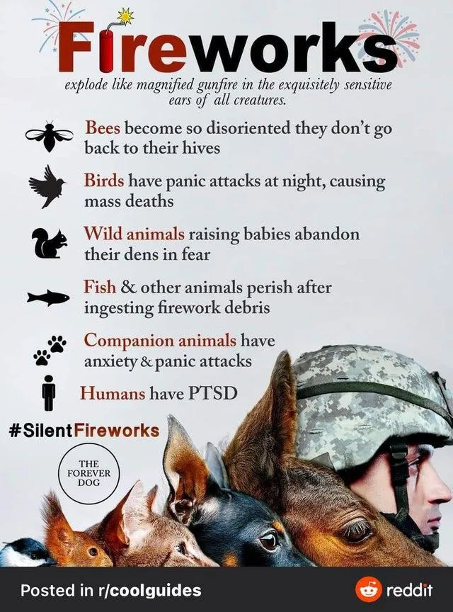Real and imagined issues with fireworks