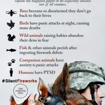 Real and imagined issues with fireworks