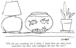 Cartoon