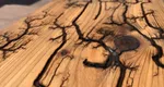 Fractal wood burning