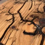 Fractal wood burning