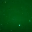 UFO Mystery, essential oils, psychic car crashes