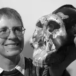 Evolution in the NZ school curriculum