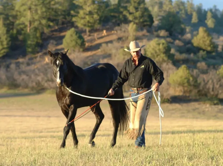 Parelli Natural Horsemanship: Horsing around with pseudoscience?