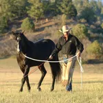 Parelli Natural Horsemanship: Horsing around with pseudoscience?