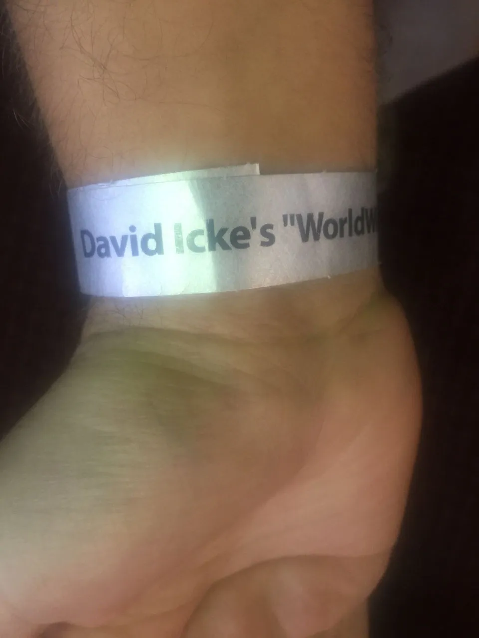 David Icke Auckland Talk