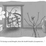 The great downunder creationism takeover
