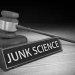 The Problem with Family Court Social Science