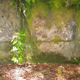 Anyone been to the Kaimanawa Wall?