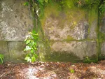 Anyone been to the Kaimanawa Wall?