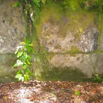 Anyone been to the Kaimanawa Wall?