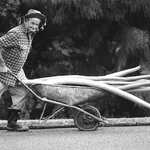 The Great New Zealand Bean Hoax