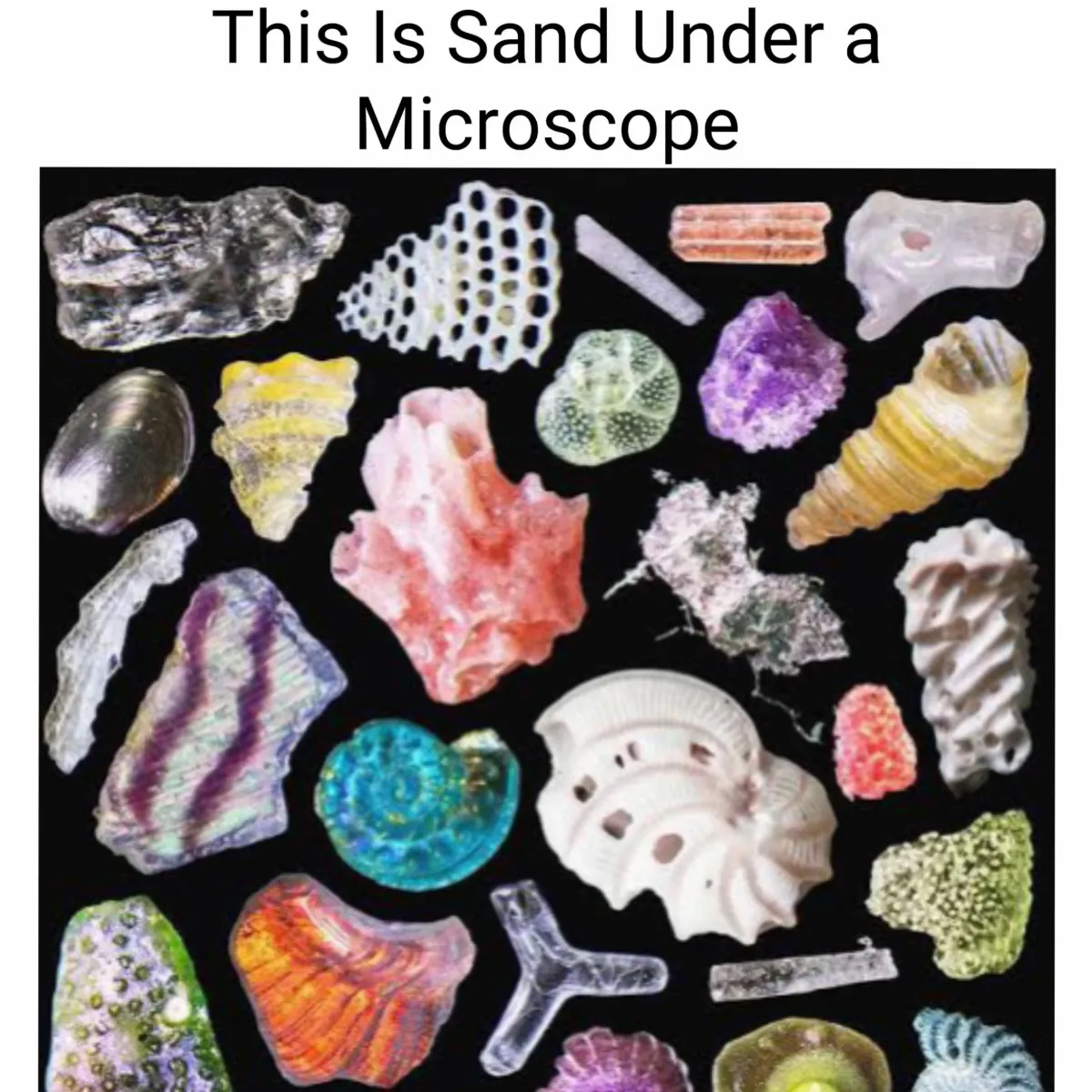 No, This Is NOT Sand Under a Microscope