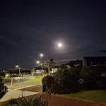 UFOs in Auckland?