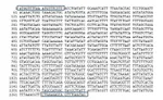 The (bad) science behind the MMR hoax