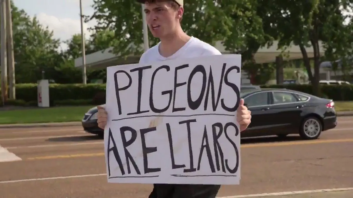 Birds aren't real