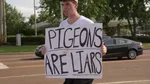 Birds aren't real