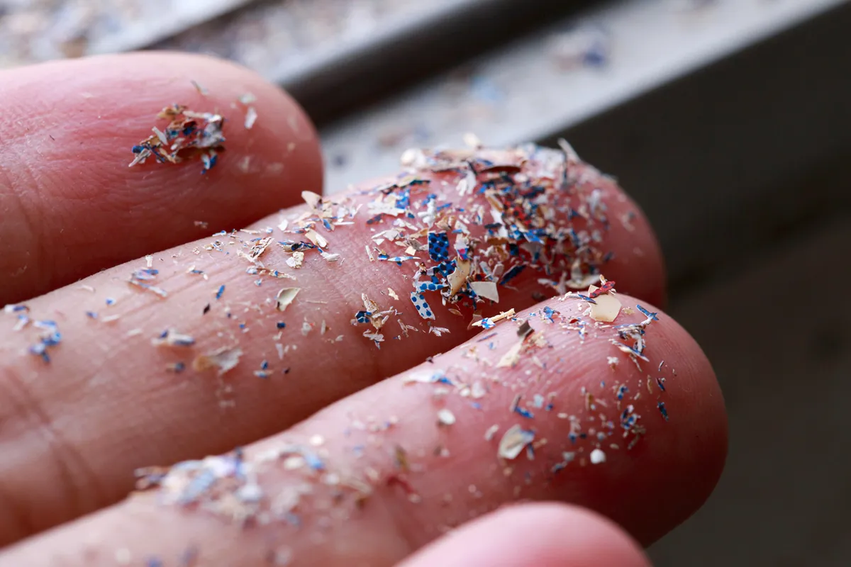 Should We Be Worried About Microplastics?