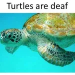 Yet more reasons why people believe weird things