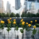 9/11, Billy TK sermons, Despicable Sue Grey and more