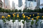 9/11, Billy TK sermons, Despicable Sue Grey and more