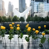 9/11, Billy TK sermons, Despicable Sue Grey and more