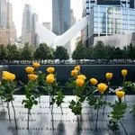 9/11, Billy TK sermons, Despicable Sue Grey and more