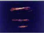 Ghost Squid Boats in the Sky