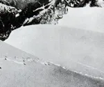 Going on a Yeti hunt: Sir Edmund Hillary and the 1960 - 1961 Silver Hut Expedition