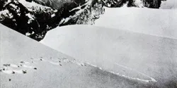 Going on a Yeti hunt: Sir Edmund Hillary and the 1960 - 1961 Silver Hut Expedition