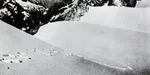 Going on a Yeti hunt: Sir Edmund Hillary and the 1960 - 1961 Silver Hut Expedition