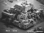 Undeclared nanotech in Pfizer vaccine?