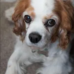 Saying goodbye
