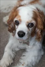 Saying goodbye