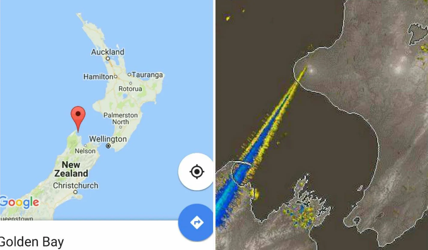 Whales were stranded by "weather modification" technology