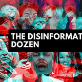 The Dirty Dozen and Dahlias