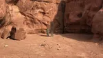 2020: A Desert Odyssey