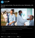 Don't take Horse Dewormer