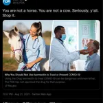Don't take Horse Dewormer